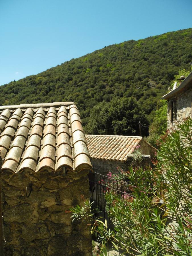 Bed and Breakfast Mas des Nabières Saint-Martial  Esterno foto